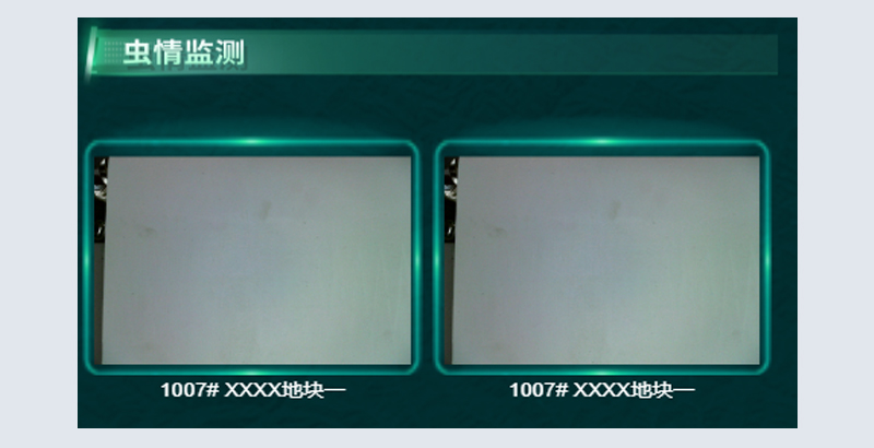 蟲(chóng)情監(jiān)測(cè).jpg