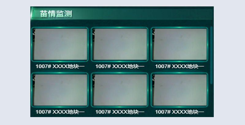 苗情監(jiān)測(cè).jpg